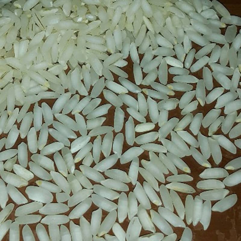 خرید و قیمت برنج کامفیروزی + فروش عمده